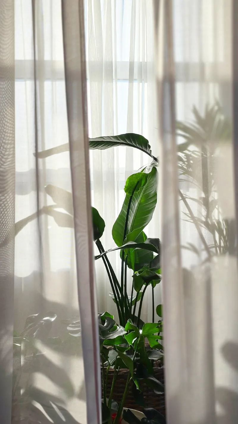 Światło dzienne zdjęcie 2